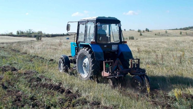 В Татарстане по нацпроекту выполнены работы по агротехническому уходу за лесными культурами