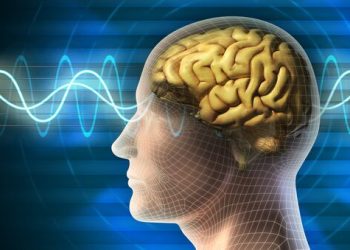 Невролог рассказала, какие продукты ухудшают работу мозга