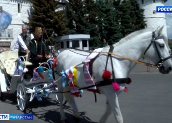 В Казани пройдет традиционный сбор подарков для Сабантуя