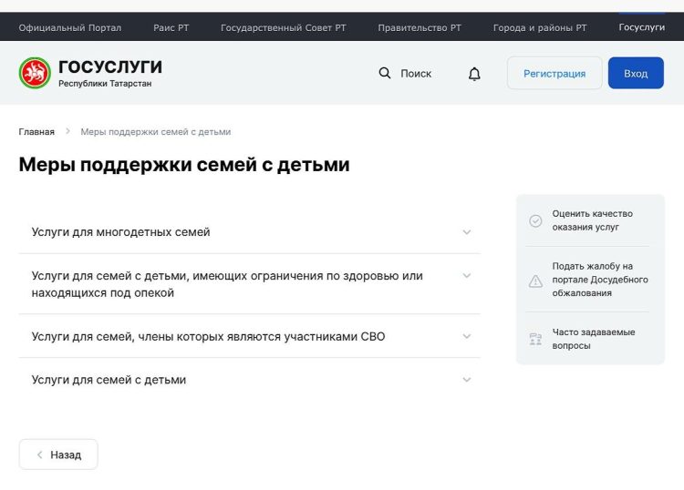 На Госуслугах Татарстана появился раздел «Меры поддержки семьям с детьми»
