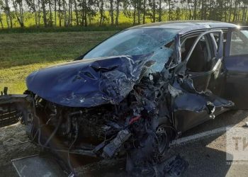 В Спасском районе при столкновении иномарок погиб мужчина