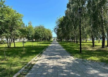 Бойцы СВО в Менделеевске высадят аллею памяти