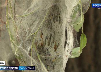 Топ 20 мест в Северной Осетии: горы, пироги, история