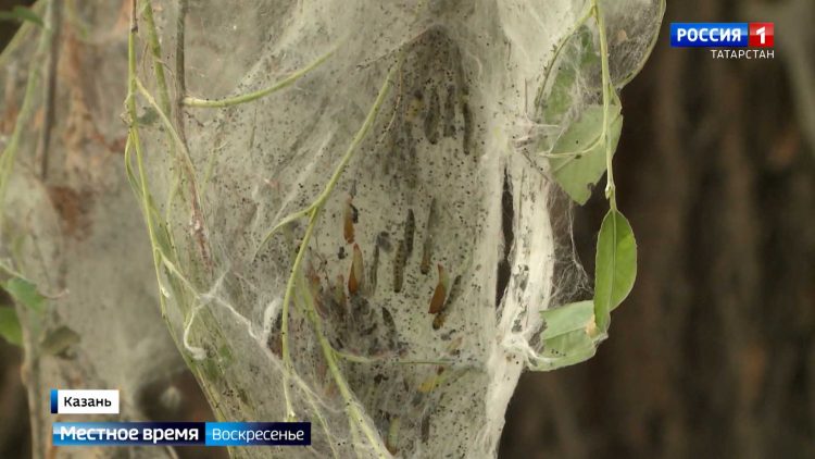 Топ 20 мест в Северной Осетии: горы, пироги, история