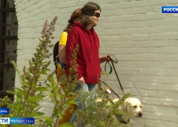 В Казани начался первый реабилитационный фестиваль для незрячих и их собак-проводников