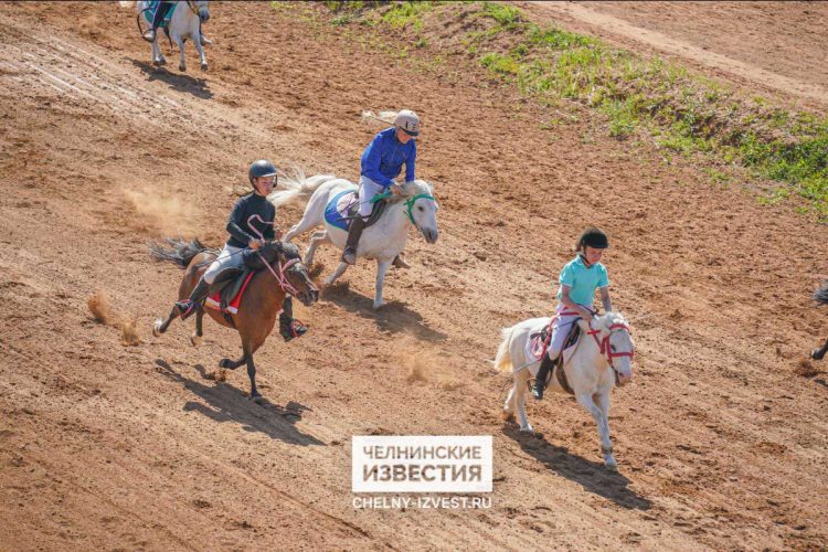 В Челнах прошли скачки на пони