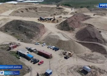 В Казани начали бороться с нашествием гусениц