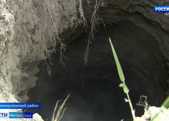 «С этого еще никто не травился!»: как казанские продавцы отвечают на вопрос о сертификации сидра