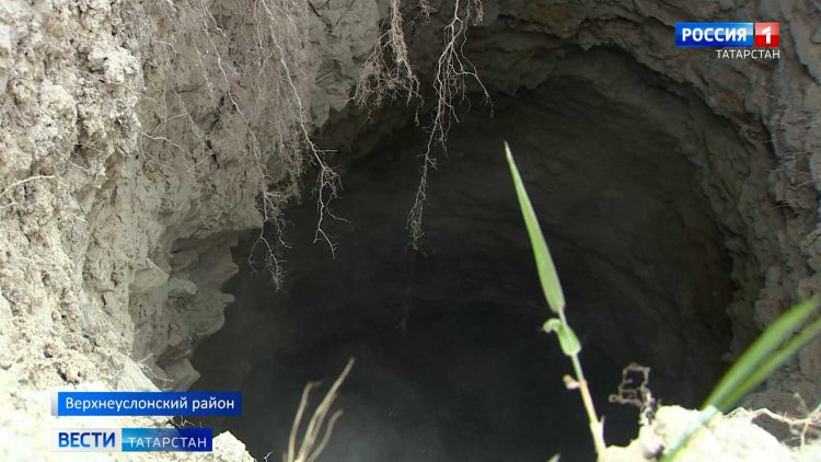 «С этого еще никто не травился!»: как казанские продавцы отвечают на вопрос о сертификации сидра