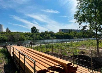 В поселке Васильево по нацпроекту благоустраивают парк «Леском»