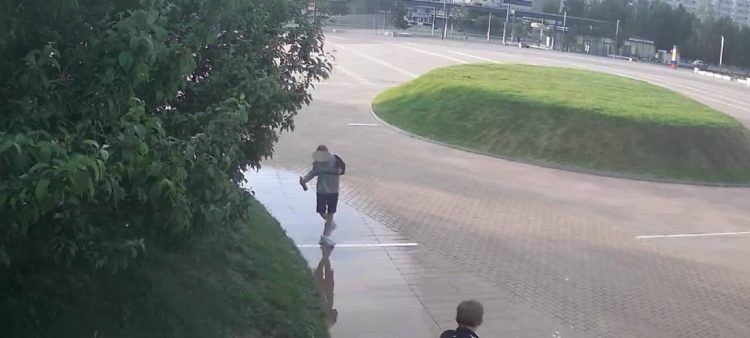 В Челнах двое вандалов сломали автополив