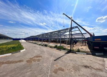 В Буинске начали строить родильную ферму для коров