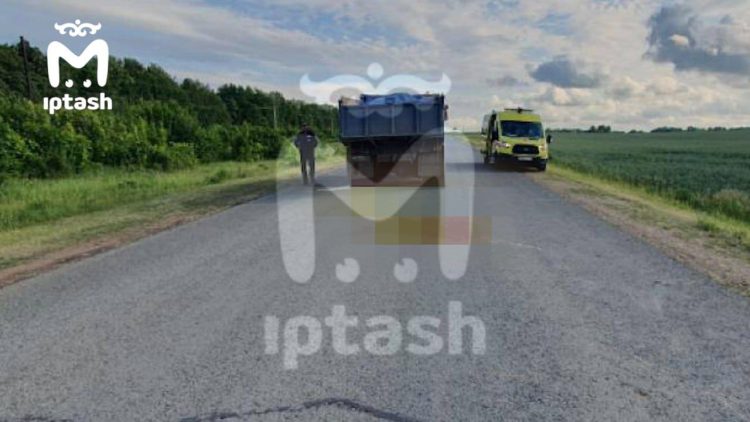 В Тукаевском районе девочка погибла под КАМАЗом после падения с лошади