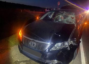 В Татарстане на трассе М7 иномарка насмерть сбила пенсионера