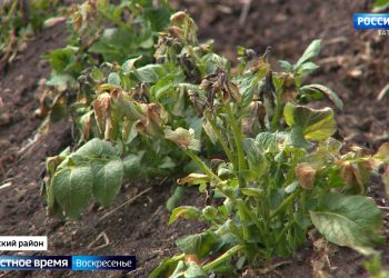 Топ 20 мест в Северной Осетии: горы, пироги, история