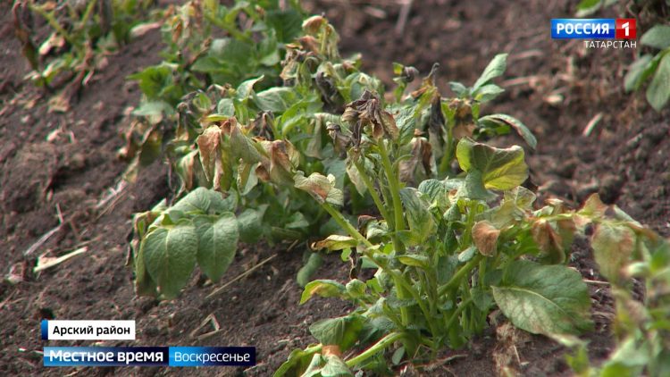 Топ 20 мест в Северной Осетии: горы, пироги, история