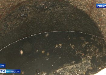 В Казани жильцы на Минусинской борются с комарами и канализационными стоками