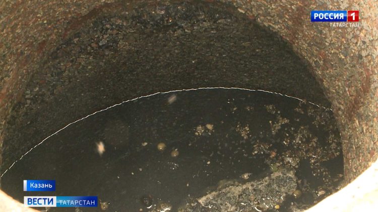 В Казани жильцы на Минусинской борются с комарами и канализационными стоками