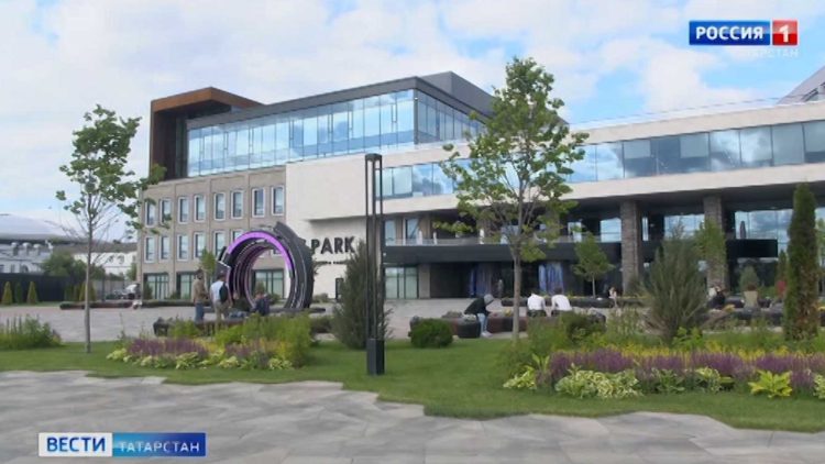 В Казани начали бороться с нашествием гусениц