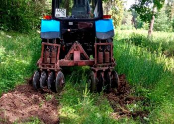 В Бугульминском районе в рамках нацпроекта лесники ухаживают за 155 гектарами леса