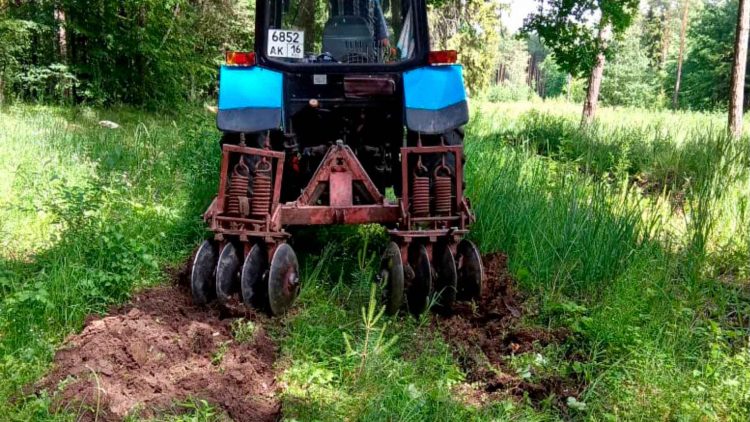 В Бугульминском районе в рамках нацпроекта лесники ухаживают за 155 гектарами леса