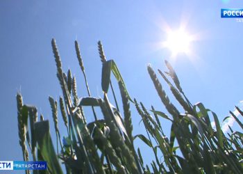 В Казани заметили танцующего на окне ребенка