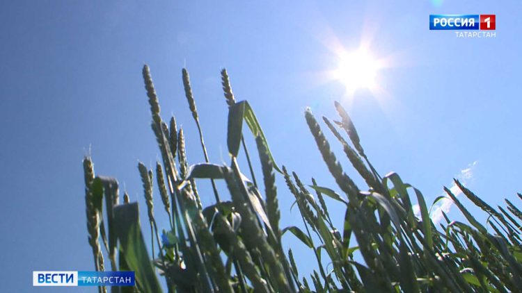 В Казани заметили танцующего на окне ребенка