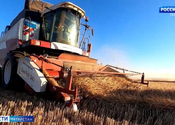 Качество зерна в Татарстане: чистое и безопасное благодаря современному лабораторному оборудованию