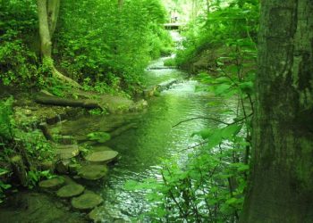 В Казани на Голубых озерах оштрафовали туристов за катание на сапбордах