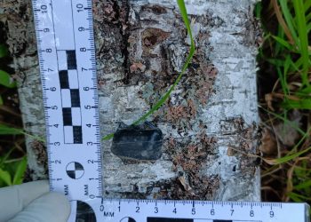 В Казани полицейские задержали наркокурьера из Рязани