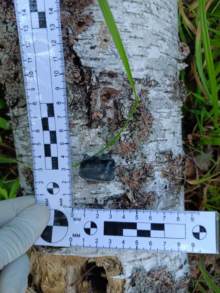 В Казани полицейские задержали наркокурьера из Рязани