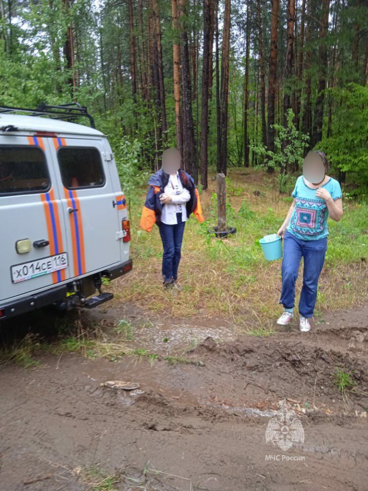 В Елабужском районе в лесу заблудились две женщины