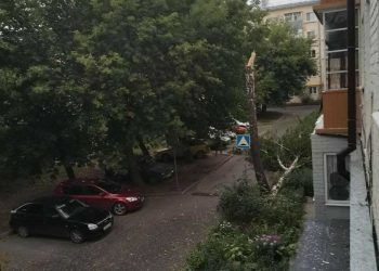 Жители Казани делятся последствиями шквалистого ветра