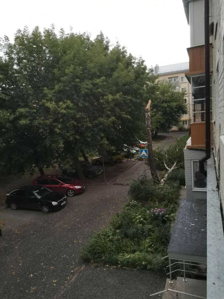 Жители Казани делятся последствиями шквалистого ветра
