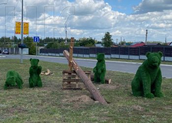 В Елабуге установили топиар «Мишки в лесу»