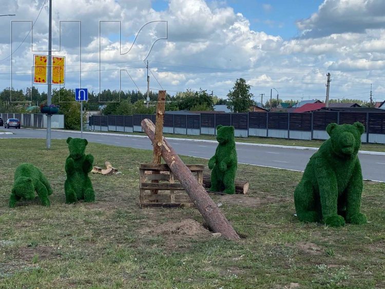 В Елабуге установили топиар «Мишки в лесу»