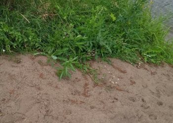 В Нижнекамском районе утонул мужчина