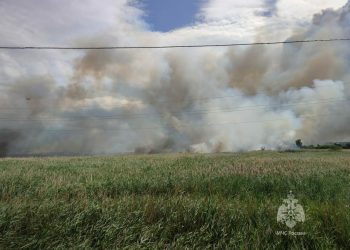 В Альметьевске потушили пожар на реке Зай
