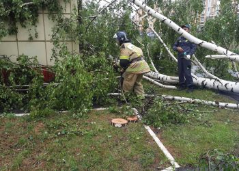 В Агрызе из-за урагана обесточены 366 зданий