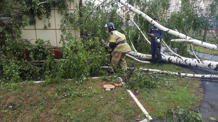 В Агрызе из-за урагана обесточены 366 зданий
