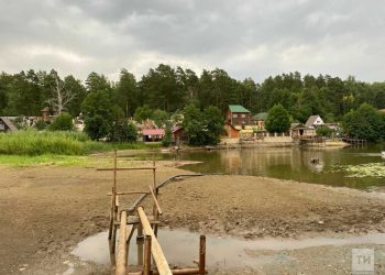 В Нижнекамске обмелело озеро Подборное