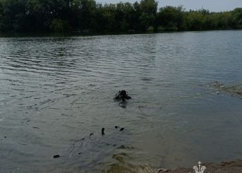 В Казани 15-летняя девушка утонула из-за прыгнувшего на нее парня