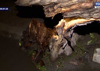 В Татарстане устраняют последствия урагана