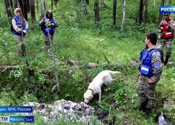 В Казани пройдут учения волонтеров «Национального центра помощи пропавшим и пострадавшим детям»
