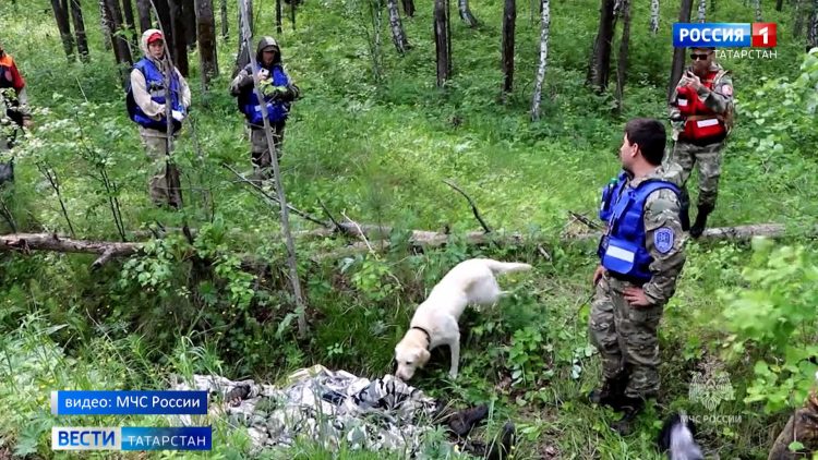 В Казани пройдут учения волонтеров «Национального центра помощи пропавшим и пострадавшим детям»