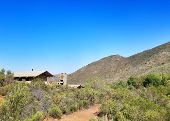 В Зеленодольском районе откроется круглогодичный глэмпинг