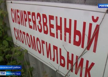 В Челнах уменьшили зону опасного скотомогильника, из-за которого сорвалась стройка