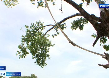 Трагедия на озере Средний Кабан: девочка утонула после падения на нее мальчика с тарзанки