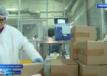 Развитие сельских территорий: новая школа-сад и растущий сыродельный завод в Мамадыше