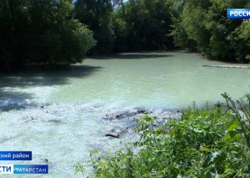 В Татарстане урожайность в этом году снизится на треть из-за засухи